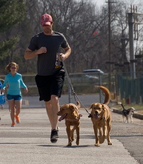 what-to-consider-before-jogging-with-dog