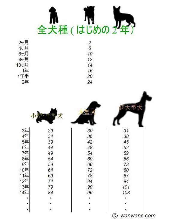 犬の年齢換算方法