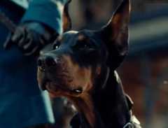 2012年ゴールデン・カラー・アワードにノミネートされた俳優犬達