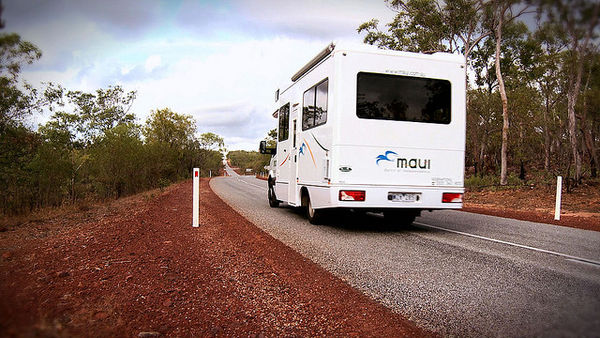 オーストラリアの犬、バスを運転する！？