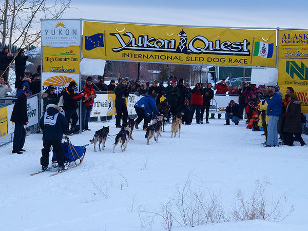 2012年ユーコン・クエスト犬ぞりレース、開催の危機？！