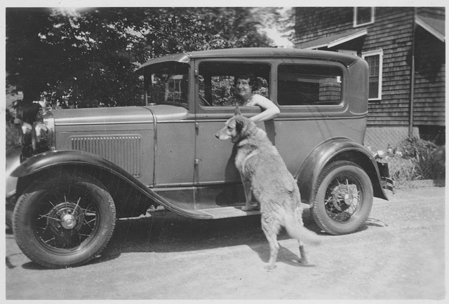 old photo dog and car