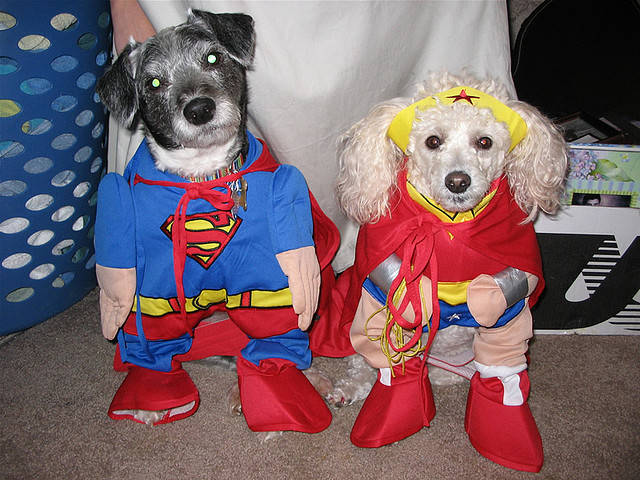 super couple dogs