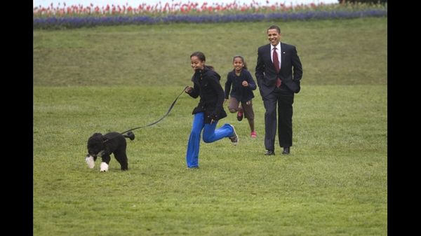 2009 President Obama family and Bo