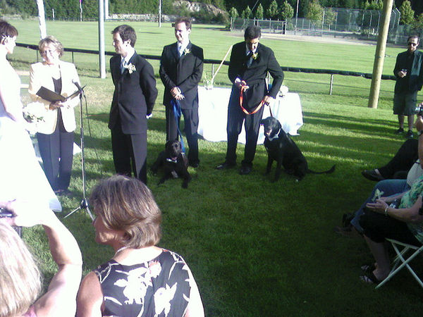 bestman and dogs