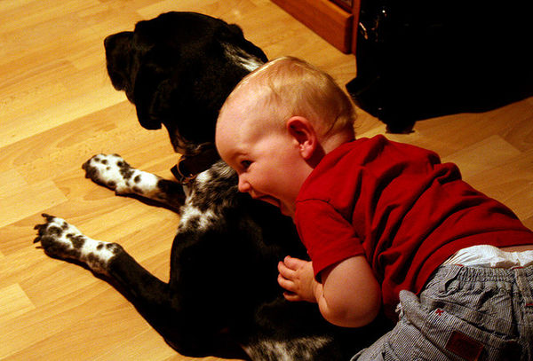 doggy and baby