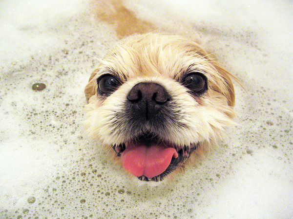 happy bath
