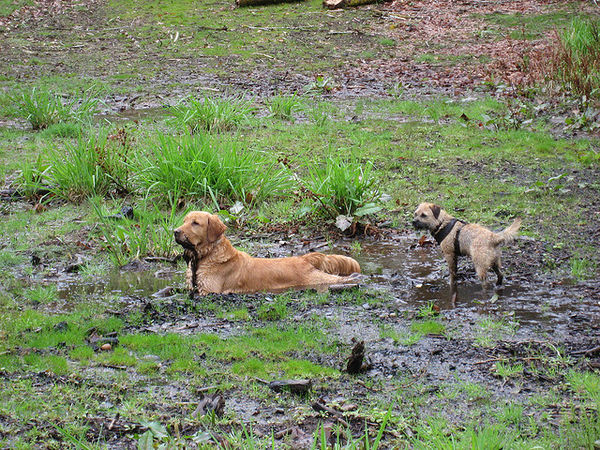 playing in mud
